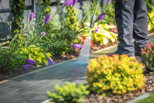 Best Gutter Cleaning and Brightening in Dexter, MO