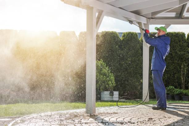 Best Soft Washing for Delicate Surfaces in Dexter, MO